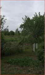 Земельный участок 893 кв.м, Орловская обл., адрес: Российская Федерация, Орловская область, муниципальный округ Орловский, сельсовет Большекуликовский, СНТ "Разуваевские pруды", линия 3, земельный участок 8, категория земель: Земли сельскохозяйственного назначения, разрешенное использование…