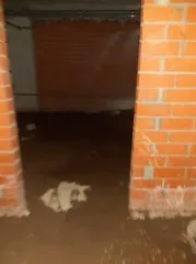 Нежилое помещение площадью 124,1 кв.м, кадастровый номер 43:40:000459:3739, адрес: Кировская область, город Киров, улица Ленина, дом 191.