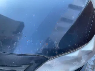 Toyota Corolla 2010 года, 124 л.с., пробег 313500 км. VIN JTNBV58E70J094147, модель двигателя 1ZR 0624980, объем 1598 см³, разрешенная масса 1745 кг, снаряженная масса 1290 кг. Транспортное средство является предметом залога. Рекомендуется личный осмотр перед участием, автомобиль находится на…