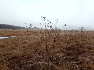 Дом и земельный участок, 1/4 доли, Иркутская область. 1/4 доля дома и 1/4 доля земельного участка в Иркутской обл. Еще 1/4 доля дома и 1/4 доля земельного участка в Иркутской обл. Еще 1/4 доля в здании, площадь 36.2 кв.м., назначение: жилое, количество этажей: 1, адрес (местонахождение): Россия…