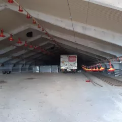 Птицеферма кадастровый №16:23:230101:159, Площадь общая 8 820,1 кв. м
Земельный участок кадастровый №16:23:230101:167, Площадь уточненная 97 538 кв. м
Незавершенное строительство (птичник размером 64/20) – 2 ед., 
Котел RS-A400 - 2ед., 
Шкаф инкубационный выводной,
Шкаф инкубационный…