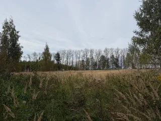 Земельный участок КН 50:37:0050601:697, 1554 кв.м, Московская область. Площадь земельного участка: 1554. Кадастровый номер земельного участка: 50:37:0050601:697. Основной вид разрешенного использования: 2.1