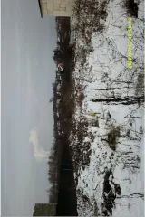 Земельный участок, государственная собственность на который не разграничена, расположенный по адресу: Российская Федерация, Нижегородская область, город Нижний Новгород г.о, сп. Новинки, ул. Новая, восточнее участка № 50-Б, кадастровый номер 52:24:0040202:6581, с видом разрешенного использования…