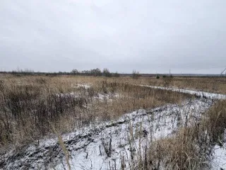 Земельный участок 600 кв.м в Московской области, городской округ Раменский, деревня Аргуново. Кадастровый номер: 50:23:0050573:1513. Площадь: 600 +/- 17 кв.м. Категория земель: сельскохозяйственного назначения. Вид разрешенного использования: для ведения садоводства.
