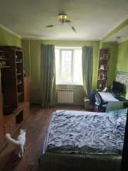 Квартира 79.5 кв.м, Санкт-Петербург, жилое помещение (квартира), кадастровый номер 78:34:0413701:3185, общая площадь 79.50 кв. м, адрес (местонахождение) объекта: Санкт-Петербург, ул. Стародеревенская, д 24 к 1, кв 138.