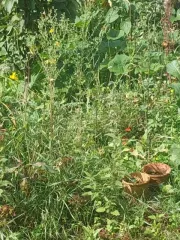 Доля в доме 19.1 кв.м и участке 608 кв.м, Воткинск, Удмуртия. 1/4 доля дома и 1/4 доля земельного участка. Площадь дома: 19.1 кв.м, назначение: нежилое. Площадь участка: 608 кв.м, назначение: земли населенных пунктов. Адрес: Россия, Удмуртская Республика, г. Воткинск, СНТ "Сад № 2", участок № 90…