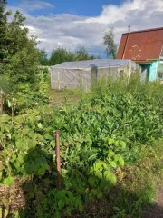 Здание 13,6 кв.м и земельный участок 441 кв.м в Пермском крае, Кунгурский район, сад 5 Ивушка, участок 119. Земельный участок площадью 441 кв.м, назначение: земли сельскохозяйственного назначения, кадастровый номер: 59:24:3600206:231. Здание площадью 13.6 кв.м, назначение: нежилое, количество…