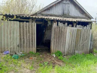 1/2 доля жилого дома, 41,1 кв.м, Оренбургская область, Российская Федерация, м.р-н Северный, с.п. Рычковский сельсовет, с Рычково, ул Нижнеаульная, двлд. 3, кадастровый номер 56:28:1201002:196.