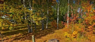 Земельный участок площадью 1326 м² по адресу: Российская Федерация, Ивановская область, городской округ Кохма, город Кохма, улица Светлая, участок у дома 2. Кадастровый номер: 37:29:010216:334. Основной вид разрешенного использования: 6.3. Территориальная зона: publicBusiness.