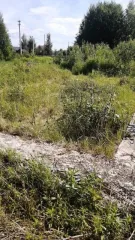 Объект незавершенного строительства площадью 85,3 кв.м, назначение: Нежилое, адрес: Россия, Нижегородская область, Городецкий район, поселок имени Тимирязева, улица Советская, дом 63, кадастровый номер: 52:15:0070321:561, вид собственности: индивидуальная. На земельном участке площадью 1500 кв.м…