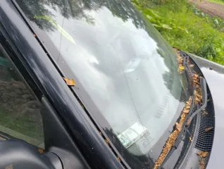 TAGAZ Accent 2011, автомобиль марки ТАГАЗ модель Accent 2011 г.в., VIN X7MCF41GPBM240190. Ознакомление с имуществом осуществляется по согласованию с финансовым управляющим по предварительной записи (тел.: 89372570075, e-mail: auramaldanov@mail.ru).