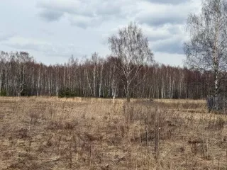земельный участок, предназначенный для передачи гражданам для индивидуального жилищного строительства в аренду сроком на 20 лет из земель населенных пунктов, площадью 2243 кв. м., расположенный по адресу: Владимирская область, Камешковский район, с. Коверино, ул. Центральная земельный участок…