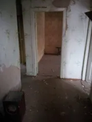 Квартира, 61.3 кв.м, 2/3 доли, Рязанская обл. 1/3 доля квартиры в Рязанской обл. еще 1/3 доля квартиры в Рязанской обл. еще жилое помещение (квартира) с кадастровым номером 62:04:1760101:239, на праве общей долевой собственности 1/3, площадью 61,3 кв.м., местоположение: Рязанская обл., Касимовский…