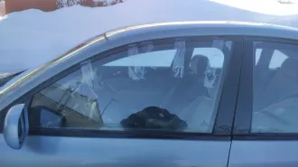 Volkswagen Passat 1998 года, цвет зеленый. VIN: WVWZZZ3BZWP405361, ПТС: 58 ММ 680275, госномер: С669АВ 58. Тип двигателя: бензиновый, номер: ADR412338, мощность 125 л.с. (91.9 кВт), объем 1781 куб. см. Кузов №: 405361, экологический класс: 01825, разрешенная максимальная масса 1350 кг. Техническое…