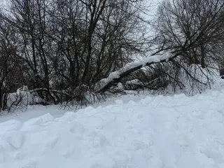 Земельный участок площадью 1443 кв.м. Категория: земли населенных пунктов. Вид разрешенного использования: для индивидуального жилищного строительства (2.1). Расположен по адресу: Московская область, городской округ Кашира, деревня Корыстово. Площадь по проекту межевания: 1443 кв.м.