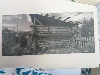 Сруб изготовленный  из деревьев породы  сосна Сруб изготовленный  из деревьев породы  сосна размером 5*6  метров, состоит из  четырех стен, каждая  стена из 12 бревен 
