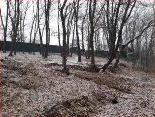 Земельный участок общей площадью 600 кв.м, кадастровый номер 25:28:050027:1883. Местоположение установлено относительно ориентира за пределами участка. Ориентир жилой дом. Участок находится примерно в 440 м по направлению на запад от ориентира. Почтовый адрес ориентира: Приморский край, г…