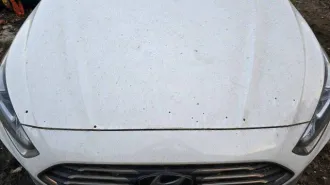 Hyundai Sonata, 2019 года, 149,5 лс, 550 000 км, АКПП, VIN: XWEE341CBK0005080, год выпуска 2019.