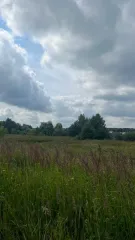 Земельный участок 1855 кв.м КН 50:33:0010503:671 Московская область Площадь земельного участка: 1855 Кадастровый номер земельного участка: 50:33:0010503:671 Основной вид разрешенного использования: 2.2