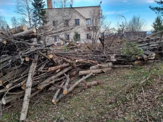 Древесина сосна, береза, осина, ива 11.8 куб.м. Древесина породы сосна в виде распиленных на части в длину 1-3 м стволов деревьев - 16 шт., объемом 1 куб.м.; древесина породы береза в виде распиленных на части длину 1-3 м стволов деревьев - 20 шт., объемом 2,2 куб.м; древесина породы осина в виде…