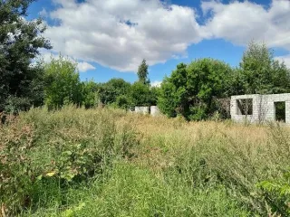 Земельный участок 1 476 кв. м, Раменский р-н, с. Софьино, Московская обл. Земельный участок — 1 476 кв. м, адрес: местоположение установлено относительно ориентира, расположенного в границах участка, ориентир: участок 137с, почтовый адрес ориентира: Московская обл., Раменский р-н, с. п. Софьинское…