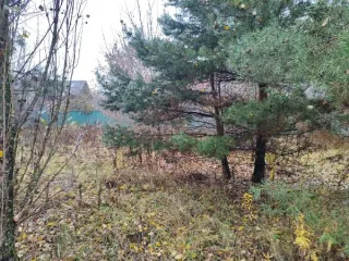 Земельный участок 621 кв.м, Московская область. Кадастровый номер 50:23:0020271:2407. Вид разрешённого использования 2.2.