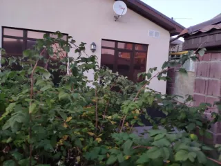Здание (кадастровый номер: 74:33:0207003:752, назначение объекта недвижимости: жилое, местоположение: Челябинская область, г. Магнитогорск, ул. Юбилейная, д. 167, площадь: 365,9 кв.м.), земельный участок (кадастровый номер: 74:33:0207003:493, виды разрешенного использования объекта недвижимости…