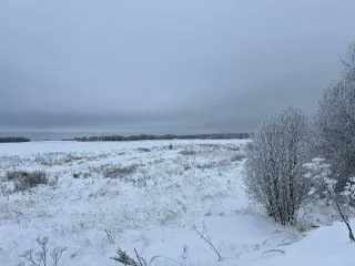 Земельный участок, кадастровый номер 69:09:0000029:204, площадь 83 572 кв.м. Местоположение установлено относительно ориентира, расположенного в границах участка. Почтовый адрес ориентира: обл. Тверская, р-н Зубцовский, с/пос Погорельское, с восточной стороны д. Новое, в границах колхоза "Успех"…