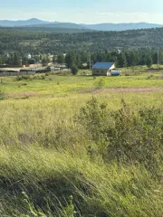 Земельный участок площадью 600 кв.м, кадастровый номер 03:19:250106:5063, расположенный в Республике Бурятия, Тарбагатайском районе, СТ «Дархан». Категория земель - земли сельскохозяйственного назначения, вид разрешенного использования – для дачного строительства с правом строительства жилых домов…