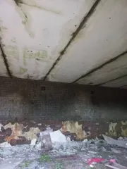 Здание продовольственного магазина 324,6 кв.м. Вологодская обл. Здание в Вологодской обл., 324,6 кв.м. Здание продовольственного магазина, площадь 324,6 кв.м., назначение: Нежилое, количество этажей: 1, этаж: 1, адрес (местонахождение): Россия, обл. Вологодская, р-н Бабушкинский, п. Ида, ул…