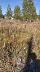 Земельный участок 1500 кв.м, Иркутская область. Земельный участок, кадастровый (условный) номер: 38:06:111302:2088, адрес (местонахождение): Иркутская область, Иркутский район, д. Московщина, ул. Малиновая, 28, площадь 1500 +/- 27 кв.м., категория земель: земли населенных пунктов, вид разрешенного…