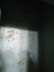 Нежилое помещение 231.9 м² по адресу: Хабаровский край, Ульчский район, село Булава, ул. Центральная, д. 18, помещение 3. Кадастровый номер: 27:16:0020202:861. Общая площадь 231.9 м², расположено на 1 этаже здания с кадастровым номером 27:16:0020202:397. Ограничений и обременений нет. Кадастровая…