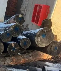 Бревна сосны и лиственницы для распиловки и строгания. Сосновые бревна - 18 штук, лиственницы - 3 штуки. Имущество продается в том виде, в каком оно есть, возврату и обмену не подлежит. Продавец не несет ответственности за скрытые дефекты.