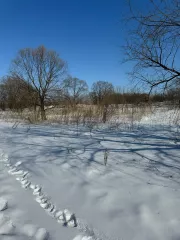 Земельный участок, площадь 1004+/11 кв.м., кадастровый (условный) номер: 27:17:0300701:882
Адрес (местонахождение): Россия, край Хабаровский, р-н Хабаровский, с Галкино, кв-л Дружный, дом 25