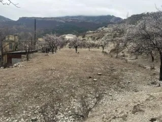 Нежилое здание 1071,33 кв.м, участок 22000 кв.м, Дагестан Кадастровый номер здания 05:35:000002:1861, земельного участка 05:35:000002:1186 Имущество расположено по адресу: РФ, Республика Дагестан, Унцукульский район, с. Унцукуль.