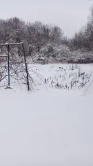 1/4 доля дома 46.5 м² и участка 1500 м² во Владимирской области, Вязниковский район, деревня Меркутино, дом 2. Жилой дом, назначение: жилое, 1 этаж, общая площадь 46,5 кв. м. Кадастровый номер дома: 33:08:080211:14. Земельный участок категории земли населенных пунктов, разрешенное использование…