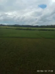 Земельные участки сельхозназначения (4 шт.), 10003 кв.м, Новосибирская область. Земельный участок в Новосибирской обл., 10003+/-875 кв.м. Земельный участок в Новосибирской обл., 10003+/-875 кв.м. Земельный участок, категория земель: сельскохозяйственного назначения для ведения крестьянского…