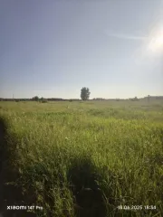 Земельный участок 525 кв.м, Новосибирская область, Черепановский район, поселок Посевная, улица Ягодная, 55в. Категория земель: земли населенных пунктов. Разрешенное использование: одноквартирные жилые дома с приусадебными земельными участками. Кадастровый номер: 54:28:030201:398.