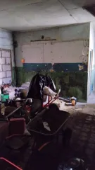 Помещение 82,8 кв.м в Пензенской области, Пачелмский район, рабочий поселок Пачелма, улица Драгунова, дом 7. Нежилое помещение на 1 этаже, кадастровый номер 58:23:0090301:4695. Находится в совместной собственности.