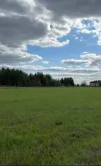 Земельный участок, площадь 41072 +/- 142 кв.м., назначение: Земли сельскохозяйственного назначения, адрес (местонахождение): Кировская обл, р-н Слободской, с/п Шиховское, кадастровый (условный) номер: 43:30:420207:203. Имеются сведения об ограничениях права на объект недвижимости, обременениях…