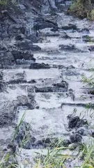 Право аренды земельного участка 32 502 кв.м. в Ростовской обл., кадастровый номер 61:18:0600006:213. Угольный шлам прогнозной массы до 154 000 тонн, которая рассчитана исходя из объемного веса и площади земельного участка с кадастровым номером 61:18:0600006:213.