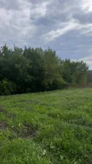 Земельный участок, площадь 644 +/  9 кв.м., назначение: для ведения личного подсобного хозяйства, адрес  местонахождение : Россия, Респ Марий Эл, р н Моркинский, д Балдырка, ул Родниковая, кадастровый  условный  номер: 12:13:0300101:303, вид собственности: индивидуальная.