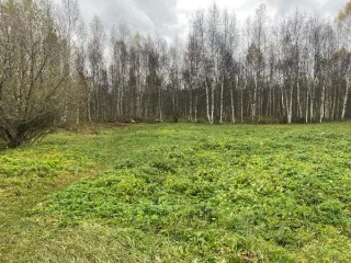 Земельный участок 1893 кв.м для ИЖС, Владимирская область, город Гусь-Хрустальный, поселок Гусевский, улица Восточная, з/у 26. Участок расположен в черте города. Земли населенных пунктов. Разрешенный вид использования: для индивидуального жилищного строительства. Основной вид разрешенного…