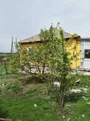 Дом 33,8 кв.м. и земельный участок 3400 кв.м. в Воронежской области, Острогожский район, село Ближняя Полубянка, улица Центральная, д. 15. Назначение здания: жилое. Назначение земельного участка: земли населённых пунктов. Кадастровый номер здания: 36:19:5800003:48. Кадастровый номер земельного…