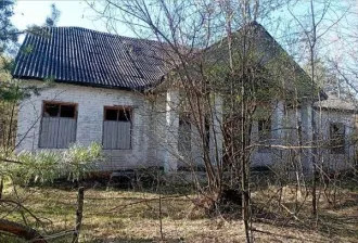 Дом пионеров, нежилое здание, кадастровый номер: 52:13:0140303:1662, площадь 291,5 кв.м., земельный участок, кадастровый номер: 52:13:0140303:3187, площадь 1300 кв.м., расположенные по адресу: Нижегородская область, городской округ город Чкаловск, с. Чистое, ул. Ленина, д. 13а. Дом пионеров…