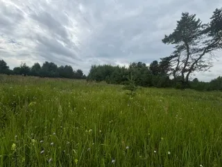 Земельный участок 1568 м², КН 50:29:0040704:352, Московская область. Площадь 1568, кадастровый номер 50:29:0040704:352, основной вид разрешенного использования 2.1.