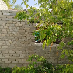 1/3 доля в праве на жилое здание, площадь: 64,4 кв.м., адрес (местонахождение): Липецкая область, рн. Данковский, г. Данков, ул. Верхняя Куликовская, д. 23, кадастровый номер: 48:03:0691874:36