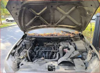 Mitsubishi Lancer 2011 Легковой седан Mitsubishi Lancer 1,5, VIN: JMB5NCY2ABU006835, год выпуска: 2011, цвет: бежевый, тип двигателя: бензиновый, мощность двигателя: 109 л.с. (80,2 кВт), объем двигателя: 1499 куб.см., экологический класс: четвертый. По периметру автомобиля наблюдаются очаги…