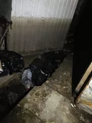 Нежилые помещения №№ 4, 4/1, 5, 5/1, 6, 9, 9/1, 10/1, 11, 11/1, 14/1, 14/2, 14/3, 14/4 подвала литер под/А подвала № 1, общей площадью 153,9 кв. м, г. Краснодар, Центральный округ, ул. Красная, д. 102. Кадастровый номер: 23:43:0303041:199. Общие сведения об ограничениях и обременениях: Объект…