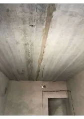 BMW X5 2018 года выпуска.